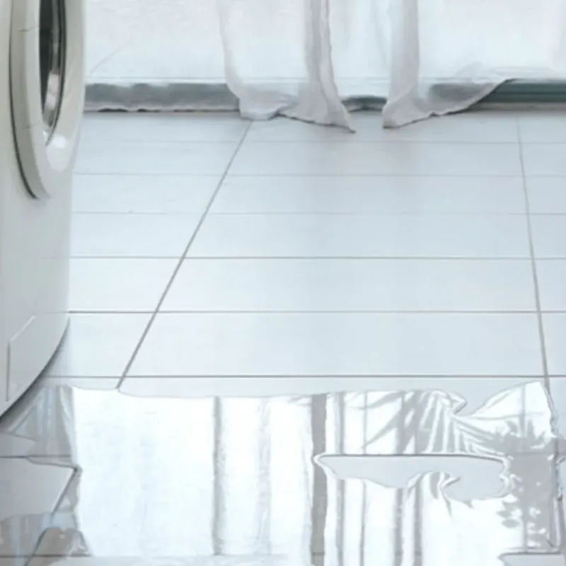 Appliance Leak Cleanup in Ozark, AR