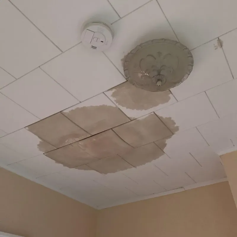 Ceiling Water Damage Repair in Ozark, AR