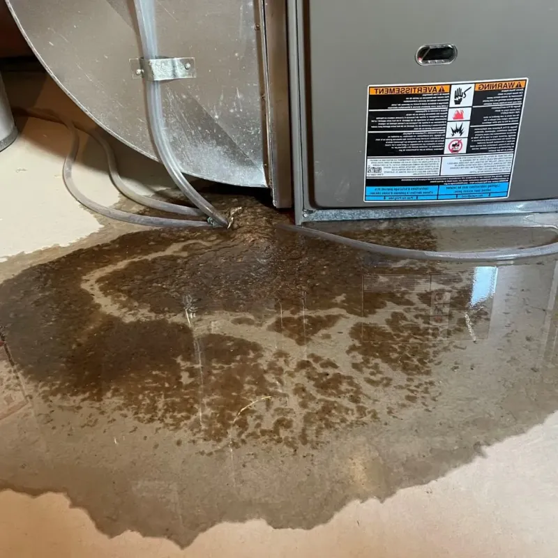 Pipe Burst and Leak Restoration in Ozark, AR
