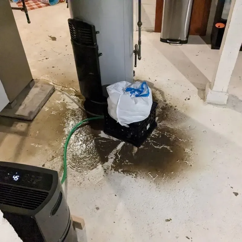Sewage Backup Cleanup Service in Ozark, AR